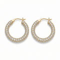 18K Gold Plated Cubic Zirconia Earrings